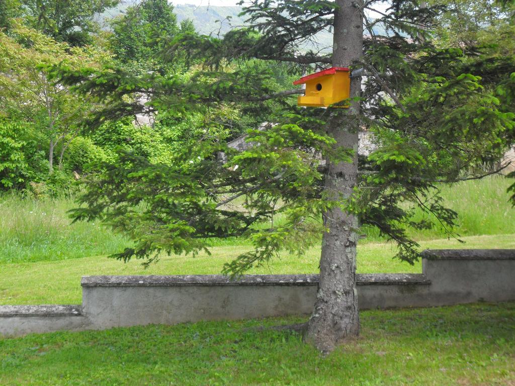Apartmani Bartulasi Roč المظهر الخارجي الصورة