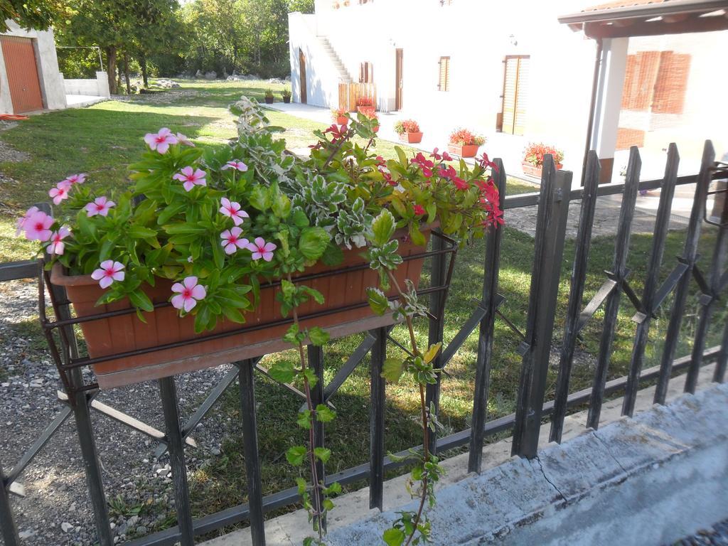 Apartmani Bartulasi Roč المظهر الخارجي الصورة